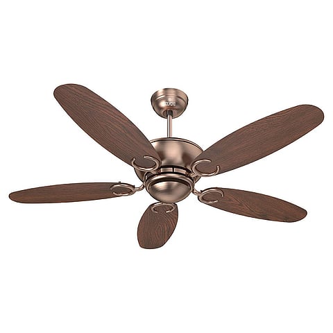 Polycab Superia SP04 1200mm Premium BLDC Ceiling Fan